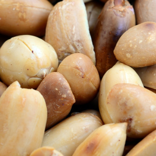 2026년 햇 피땅콩